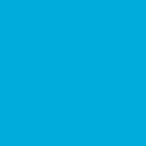 cropped expert scan favicon